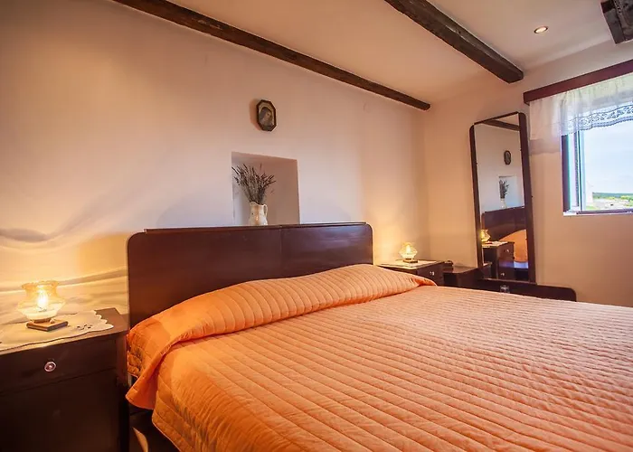 Apartment Vidovici *